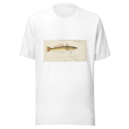 Platycephalus bassensis by Frank Edward Clarke T-Shirt
