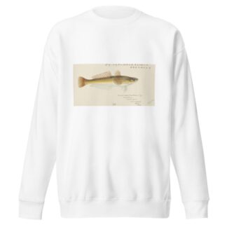 Platycephalus bassensis by Frank Edward Clarke Sweatshirt