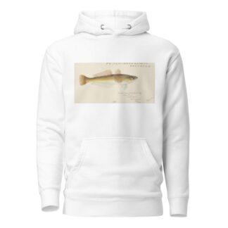 Platycephalus bassensis by Frank Edward Clarke Hoodie