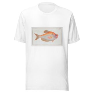 Kyrtus indicus. by Marcus Elieser Bloch T-Shirt