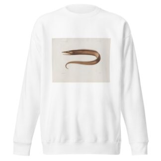 Memoirs of the Museum of Comparative Zoology at Harvard College Pl.97 by Harvard University. Museum of Comparative Zoology Sweatshirt