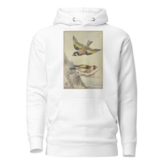 Two goldfinches by Aert Schouman Hoodie