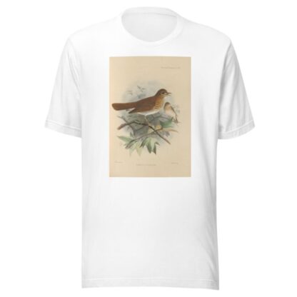 Turdus Fuscescens by Henry Seebohm T-Shirt