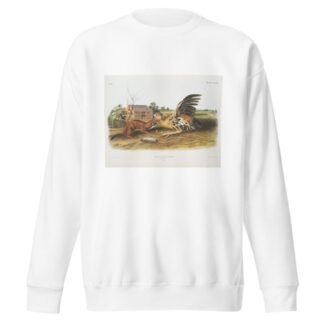 Putorius fuscus, Tawny Weasel. Male. Natural size. by John Woodhouse Audubon Sweatshirt