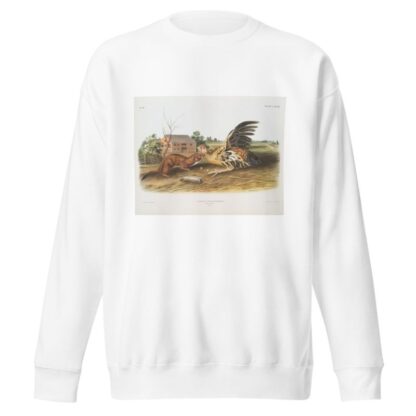 Putorius fuscus, Tawny Weasel. Male. Natural size. by John Woodhouse Audubon Sweatshirt