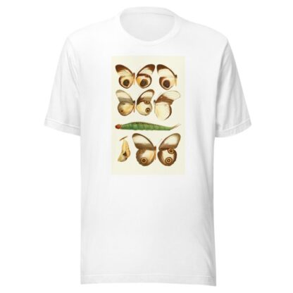 Novitates zoologicae pl 1 by Lionel Walter Rothschild T-Shirt