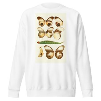 Novitates zoologicae pl 1 by Lionel Walter Rothschild Sweatshirt