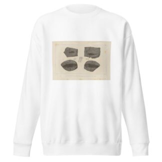 Recherches sur les poissons fossiles Pl.134 by Louis Agassiz Sweatshirt