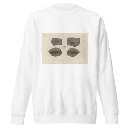 Recherches sur les poissons fossiles Pl.134 by Louis Agassiz Sweatshirt