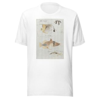 Four Fish by Luigi Balugani T-Shirt
