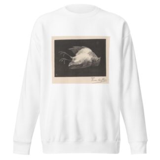 Dood roodborstje by Theo van Hoytema Sweatshirt
