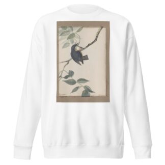 Original water-colour drawings of birds and eggs Pl.38 by John William Lewin Sweatshirt