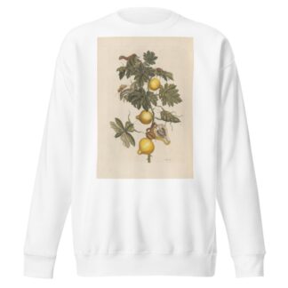 Dissertation sur la generation et les transformations des insectes de Surinam Pl.66 by Maria Sibylla Merian Sweatshirt