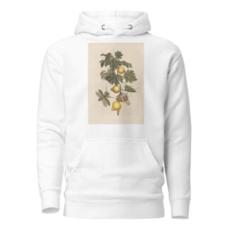 Dissertation sur la generation et les transformations des insectes de Surinam Pl.66 by Maria Sibylla Merian Hoodie