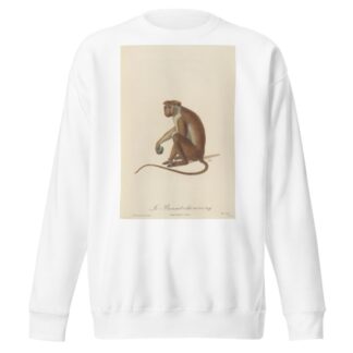 Le Bonnet Chinois by Jean-Baptiste Audebert Sweatshirt