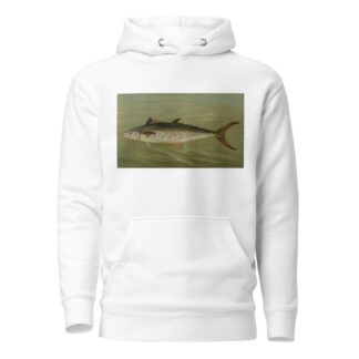 The Porgee or Scup, Stenotomus chrysops. by John L. Petrie Hoodie