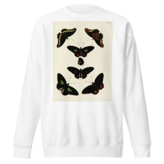 Foreign butterflies occurring in the three continents Asia, Africa and America Pl.019 by Pieter Cramer Sweatshirt