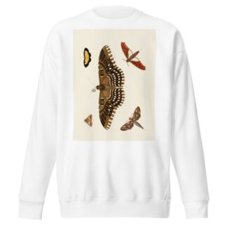 De uitlandsche kapellen voorkomende in de drie waereld-deelen, Asia, Africa en America pl88 by Pieter Cramer Sweatshirt