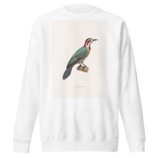 Pic Poignardé. by Coenraad Jacob Temminck Sweatshirt