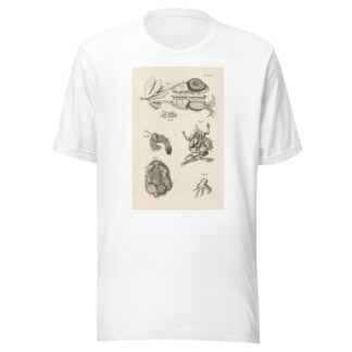 The book of nature, or, The history of insects Pl.47 by Jan Swammerdam T-Shirt