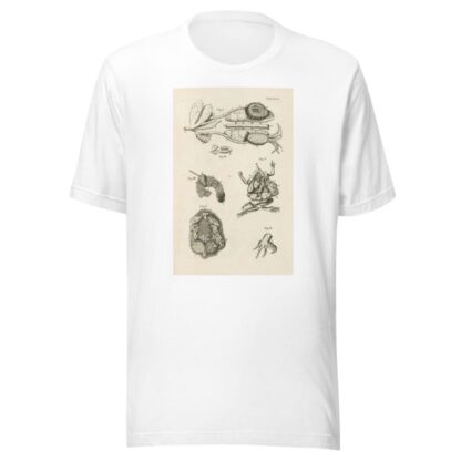 The book of nature, or, The history of insects Pl.47 by Jan Swammerdam T-Shirt