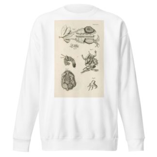 The book of nature, or, The history of insects Pl.47 by Jan Swammerdam Sweatshirt
