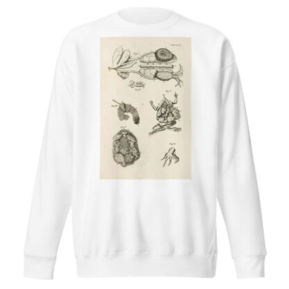 The book of nature, or, The history of insects Pl.47 by Jan Swammerdam Sweatshirt