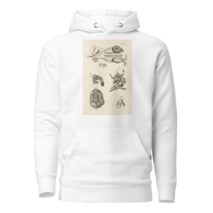 The book of nature, or, The history of insects Pl.47 by Jan Swammerdam Hoodie
