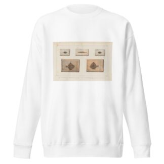 Recherches sur les poissons fossiles Pl.251 by Louis Agassiz Sweatshirt