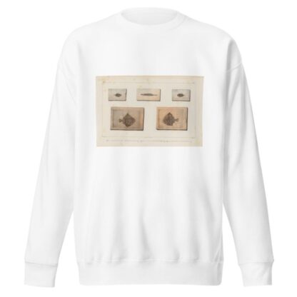 Recherches sur les poissons fossiles Pl.251 by Louis Agassiz Sweatshirt
