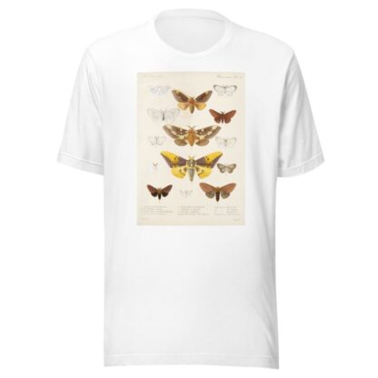 Insecta Lepidoptera-Heterocera Pl 015 by Frederick DuCane Godman T-Shirt