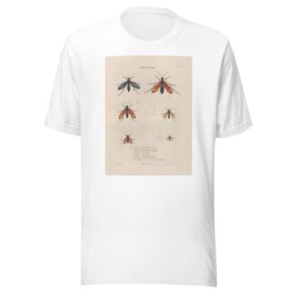 Insectes recueillis en Afrique et en Amérique Pl.70 by Jean Gabriel Prêtre T-Shirt