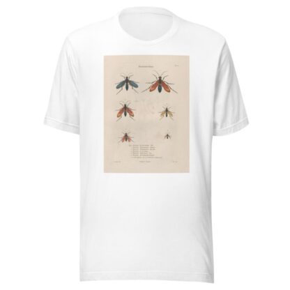 Insectes recueillis en Afrique et en Amérique Pl.70 by Jean Gabriel Prêtre T-Shirt