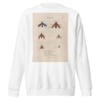 Insectes recueillis en Afrique et en Amérique Pl.70 by Jean Gabriel Prêtre Sweatshirt