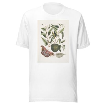 Anona maxima &c.; Phalæna magna, The largest Carolina Moth; The Caterpillar of this Moth. by Mark Catesby T-Shirt