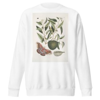 Anona maxima &c.; Phalæna magna, The largest Carolina Moth; The Caterpillar of this Moth. by Mark Catesby Sweatshirt