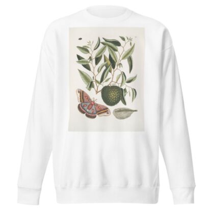 Anona maxima &c.; Phalæna magna, The largest Carolina Moth; The Caterpillar of this Moth. by Mark Catesby Sweatshirt
