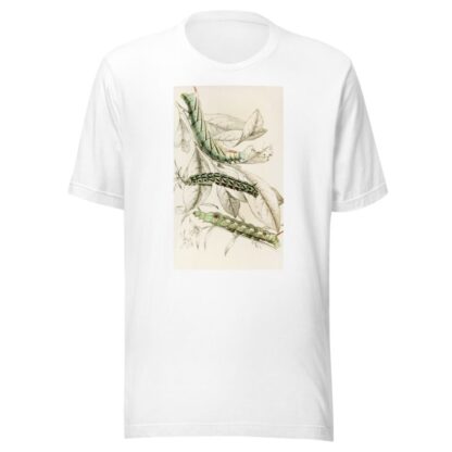 Caterpillar of Metopsilus Tersa, Sphinx Chionanthi, Sphinx Gaurae by James Duncan T-Shirt