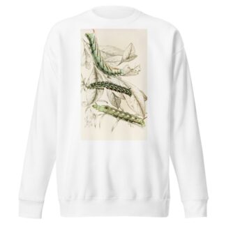 Caterpillar of Metopsilus Tersa, Sphinx Chionanthi, Sphinx Gaurae by James Duncan Sweatshirt