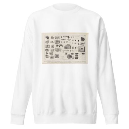 Recherches sur les poissons fossiles Pl.249 by Louis Agassiz Sweatshirt