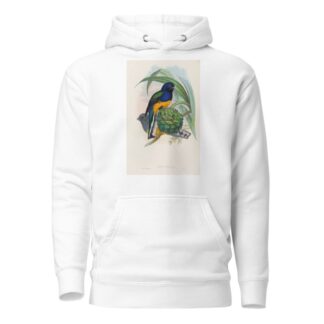 A monograph of the Trogonidae or family of trogons Pl.19 by John Gould Hoodie