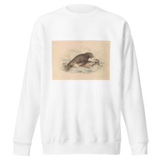 South American Sea Lion by James Stewart Sweatshirt
