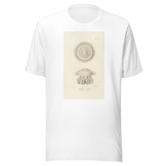 Centurie zoologique Pl.23 by René-Primevère Lesson T-Shirt