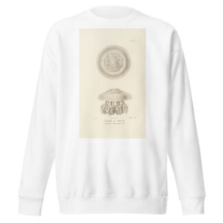 Centurie zoologique Pl.23 by René-Primevère Lesson Sweatshirt