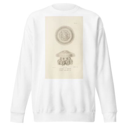 Centurie zoologique Pl.23 by René-Primevère Lesson Sweatshirt