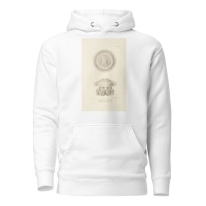 Centurie zoologique Pl.23 by René-Primevère Lesson Hoodie
