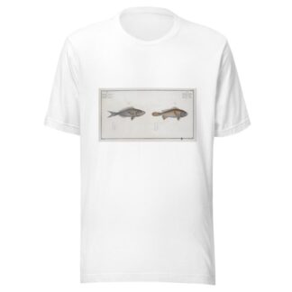 1. Bodianus stellifer, The starry Bodian; 2. Bodianus Argenteus, The Silver Bodian. by Marcus Elieser Bloch T-Shirt
