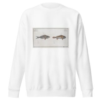 1. Bodianus stellifer, The starry Bodian; 2. Bodianus Argenteus, The Silver Bodian. by Marcus Elieser Bloch Sweatshirt