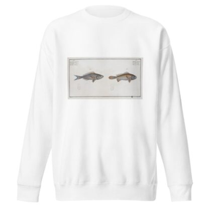 1. Bodianus stellifer, The starry Bodian; 2. Bodianus Argenteus, The Silver Bodian. by Marcus Elieser Bloch Sweatshirt