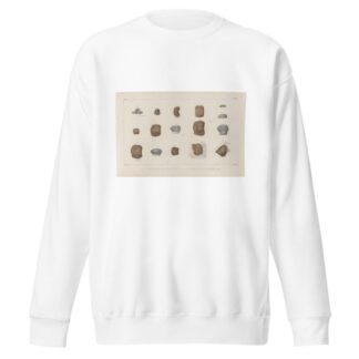 Recherches sur les poissons fossiles Pl.304 by Louis Agassiz Sweatshirt